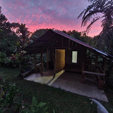 Villa Cabana Maquique - San Vito à San Ramon  Extérieur photo