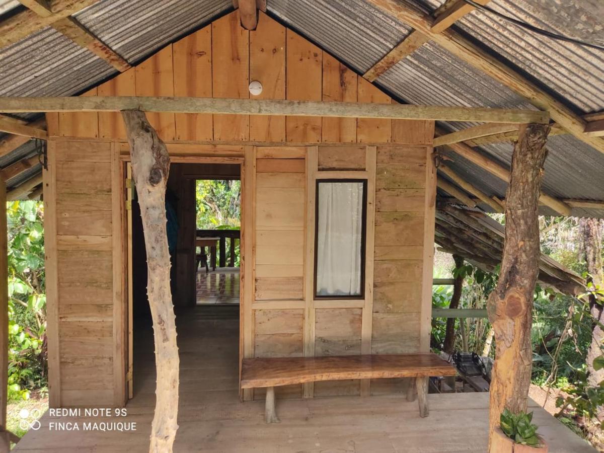 Villa Cabana Maquique - San Vito à San Ramon  Extérieur photo